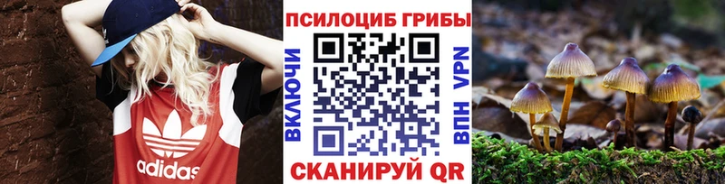 Псилоцибиновые грибы прущие грибы  цены наркотик  Щучье 